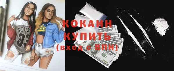 тгк Бородино