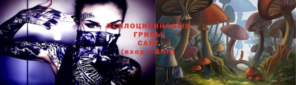 прущая мука Бронницы