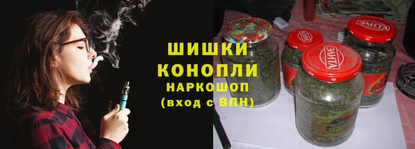 тгк Бородино