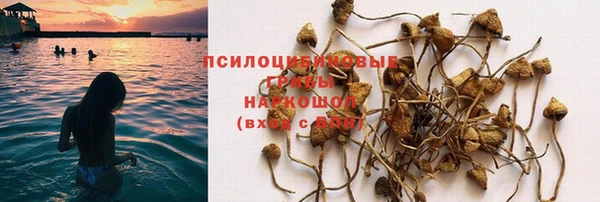 тгк Бородино