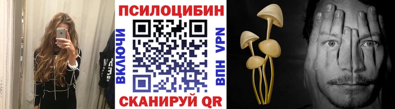 Галлюциногенные грибы Cubensis  Котельниково 